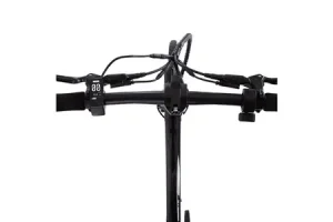 Vélo électrique Carbo Model X, 250W, PAS, 7Ah, courroie en carbone Black