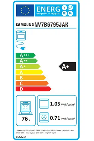 Four encastrable Samsung NV7B6795JAK BESPOKE