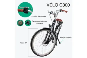 Vélo électrique Wispeed C-300 28'',12,8 Ah 36 V