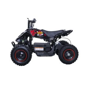 BIKEROAD Quad Electrique Raptor 800W Noir avec LED - Quad enfant