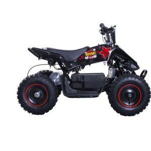 BIKEROAD Quad Electrique Raptor 800W Noir avec LED - Quad enfant